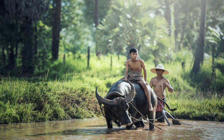 water-nature-forest-outdoor-wilderness-people-1025992-pxhere.com (2)