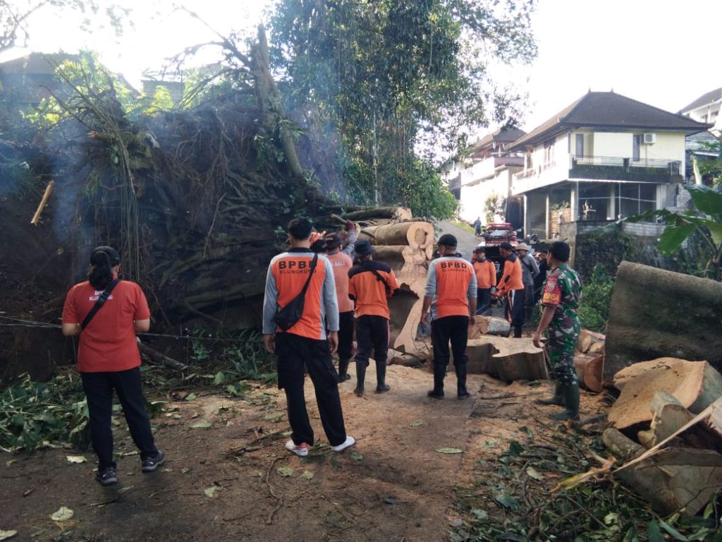 WhatsApp Image 2022-07-14 at 09.53.17