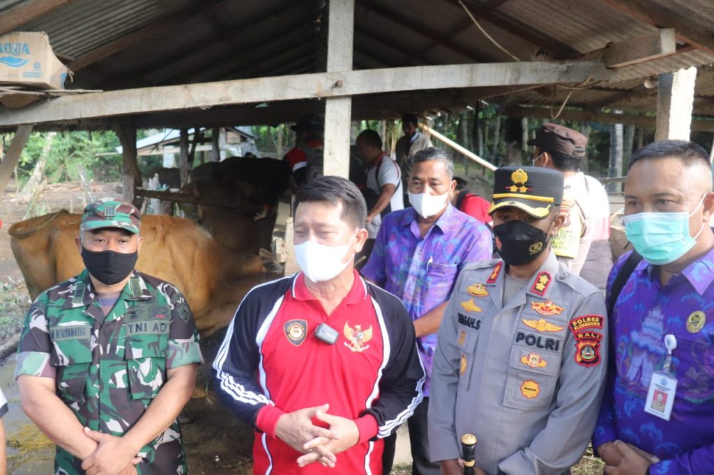 WhatsApp Image 2022-07-19 at 10.51.04