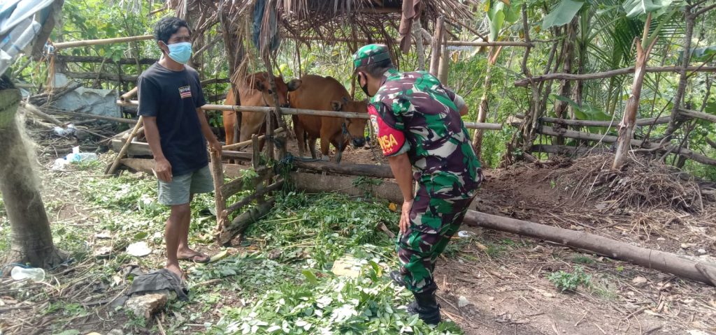 WhatsApp Image 2022-07-24 at 11.26.25