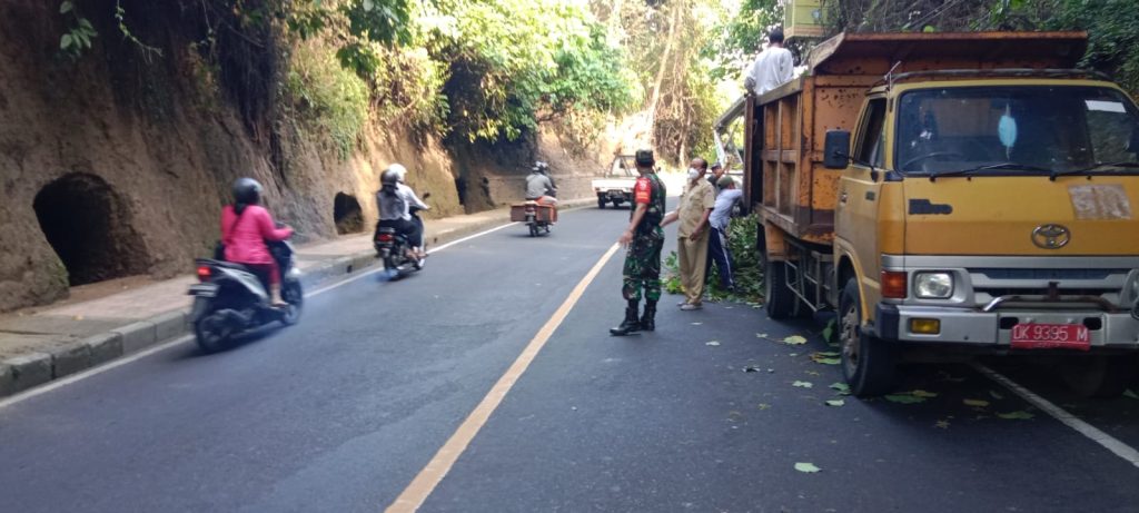 WhatsApp Image 2022-07-25 at 10.10.16