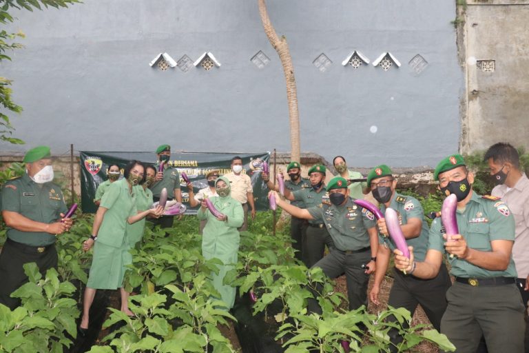 WhatsApp Image 2022-07-27 at 08.06.30