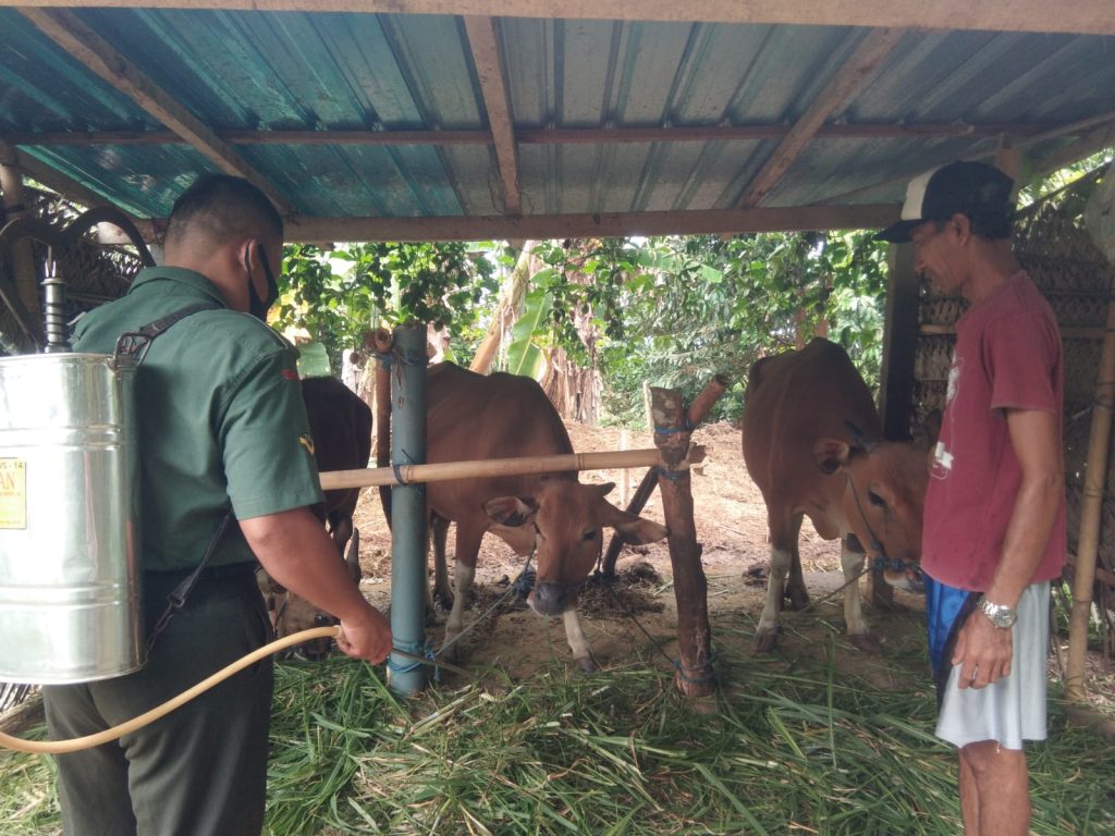 WhatsApp Image 2022-07-27 at 08.54.25 (1)