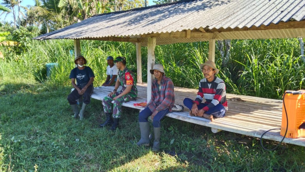 WhatsApp Image 2022-07-31 at 11.18.26 (1)