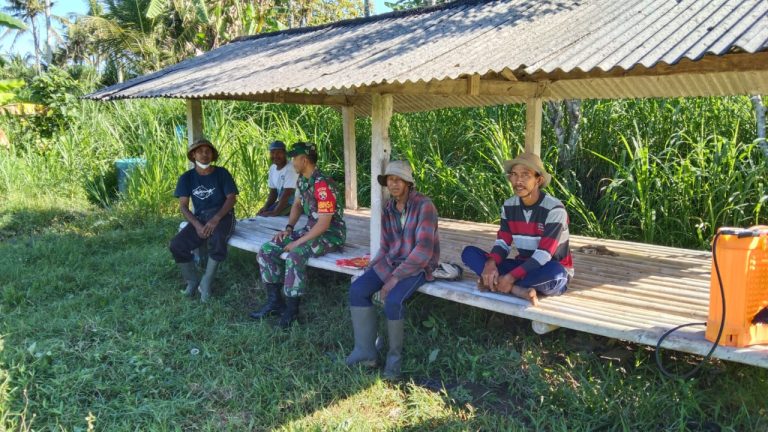 WhatsApp Image 2022-07-31 at 11.18.26 (1)