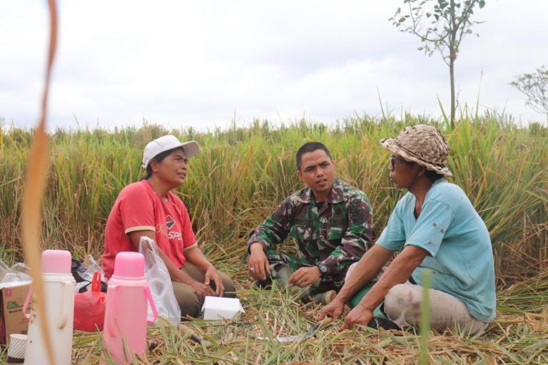 WhatsApp Image 2022-07-31 at 11.20.07