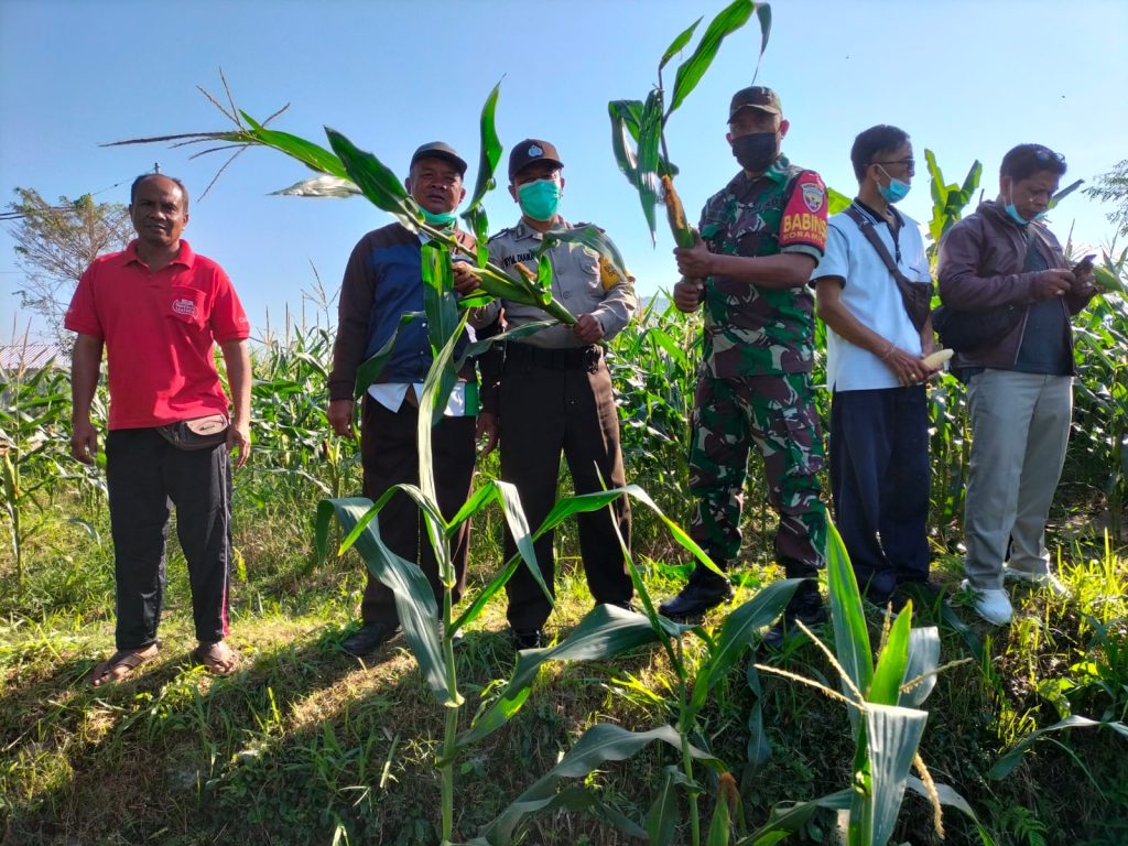 WhatsApp Image 2022-08-03 at 10.49.39 (2)