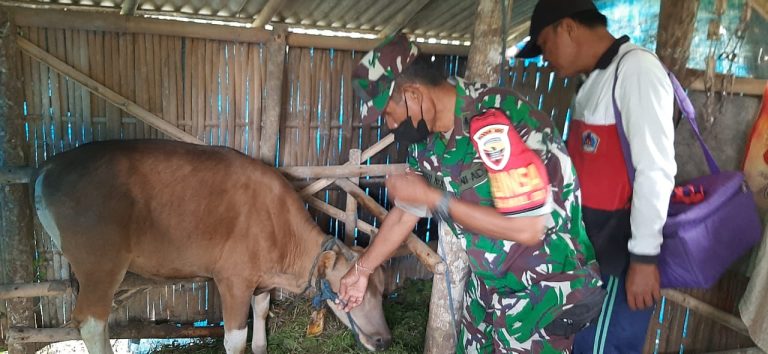 WhatsApp Image 2022-08-15 at 10.52.36