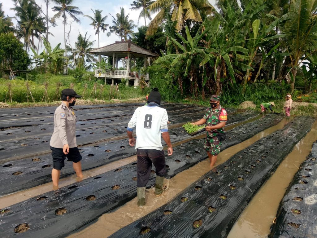 WhatsApp Image 2022-08-16 at 08.32.32 (1)