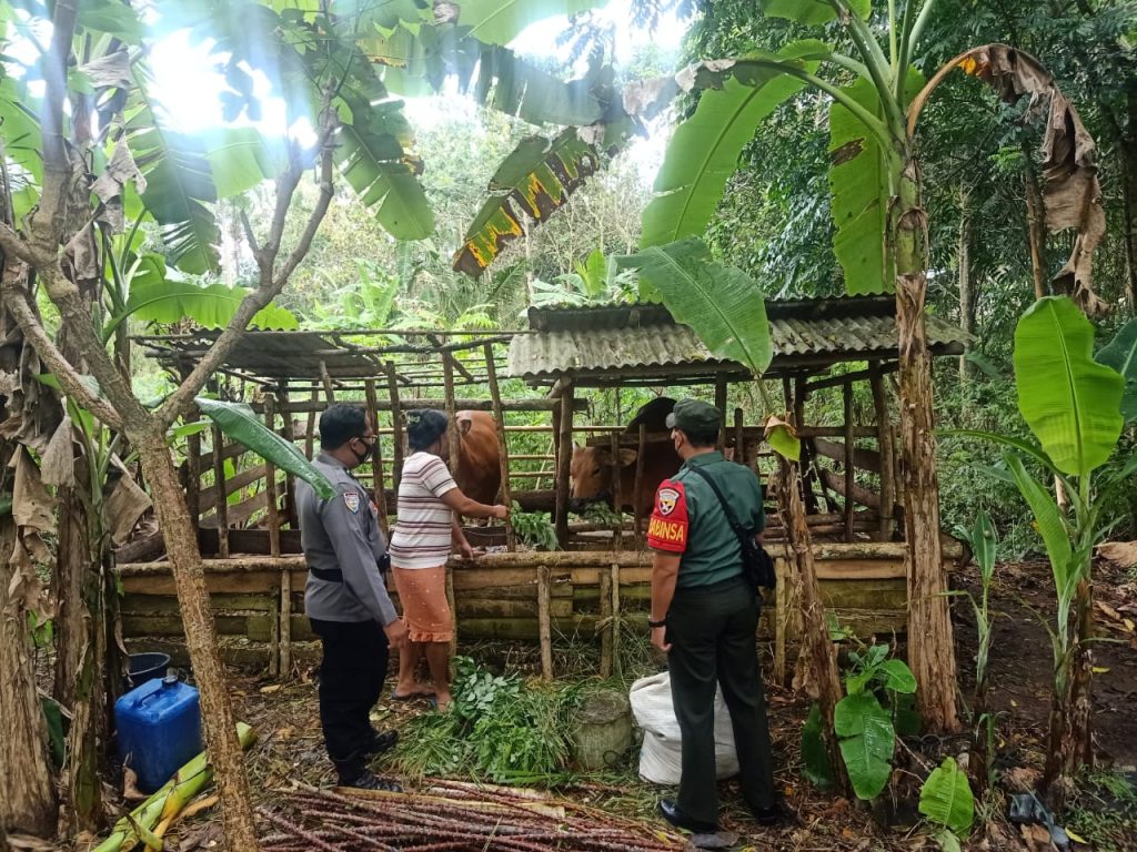 WhatsApp Image 2022-08-20 at 08.20.34