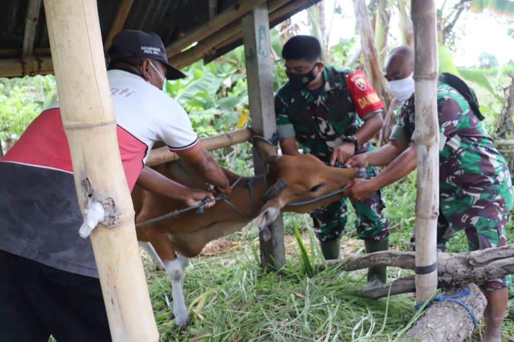 WhatsApp Image 2022-08-25 at 10.47.59 (1)