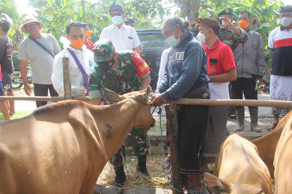 WhatsApp Image 2022-08-26 at 11.33.17