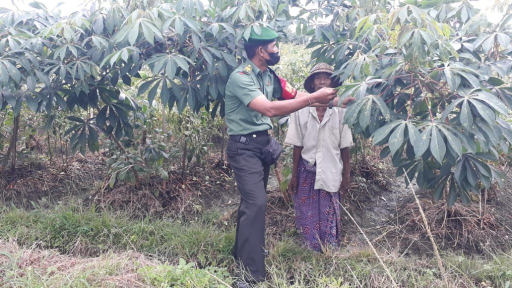 WhatsApp Image 2022-09-11 at 10.00.07