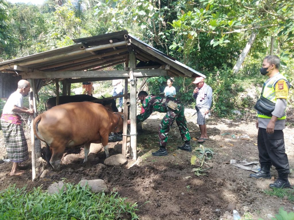 KANALBHAYANGKARA @COPYRIGHT