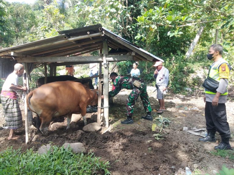 KANALBHAYANGKARA @COPYRIGHT