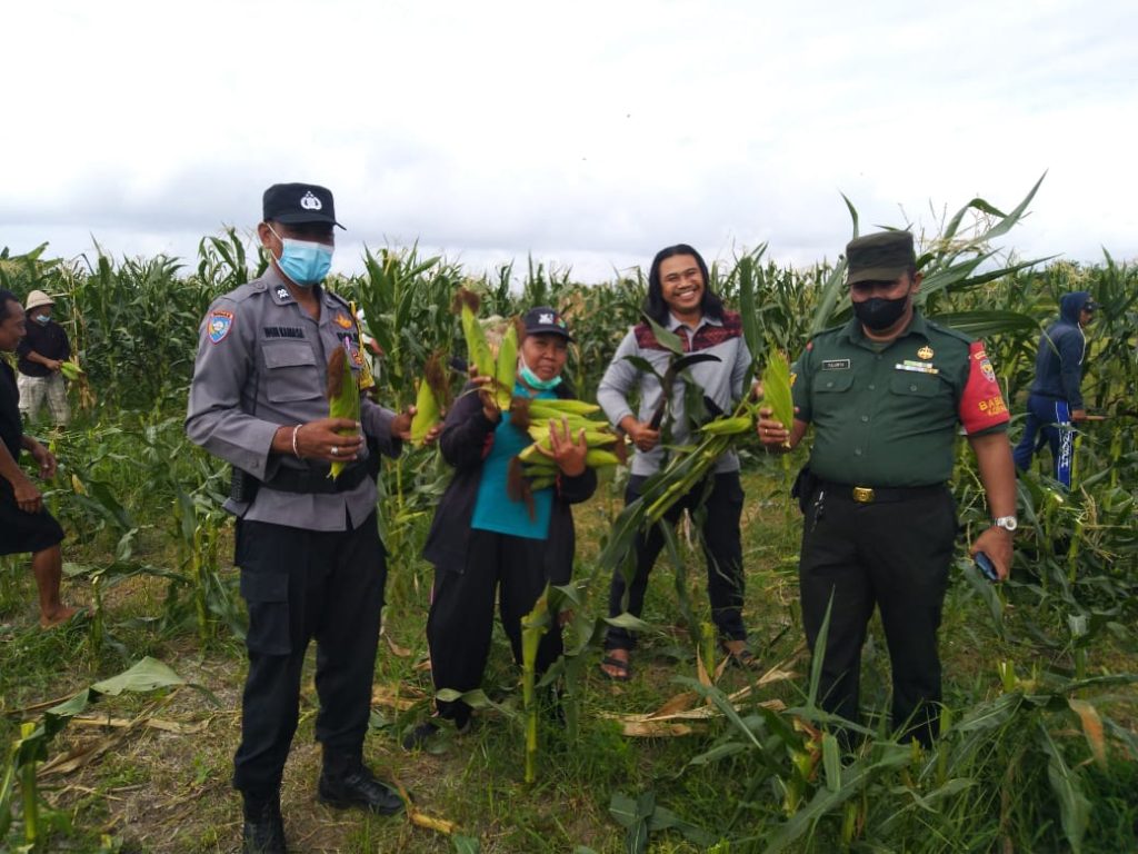 WhatsApp Image 2022-09-23 at 11.11.54