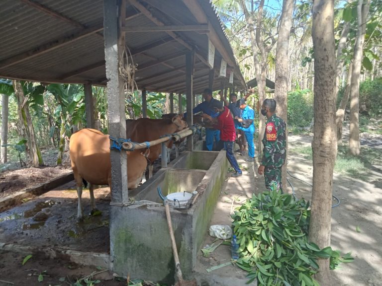 WhatsApp Image 2022-09-28 at 10.17.04